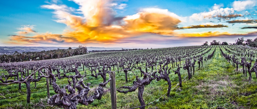 mclaren vale septic tank pumping