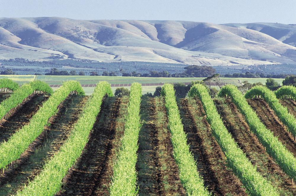 sellicks beach septic tank pumping